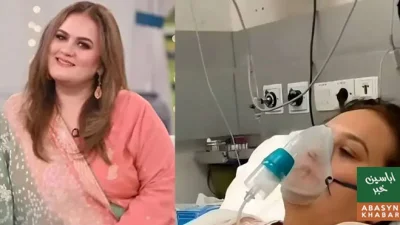 اداکارہ حنا رضوی کی طبیعت بگڑ گئی، انتہائی نگہداشت میں داخل