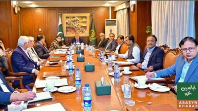 ملک میں پیٹرولیم ذخائر تسلی بخش قرار، بلا تعطل سپلائی کی یقین دہانی