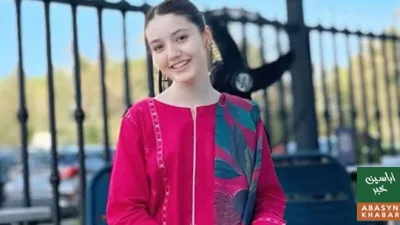 شان شاہد کا کراچی کے بڑے اداکاروں پر رویے سے متعلق بیان، شوبز میں نئی بحث