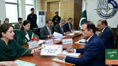 پبلک اکاؤنٹس کمیٹی کا ہائر ایجوکیشن میں مبینہ ایک ارب روپے کی بے ضابطگیوں پر نیب سے تحقیقات کا مطالبہ