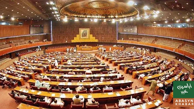 قومی اسمبلی نے 482 ارب روپے کی ضمنی گرانٹس منظور کر لیں