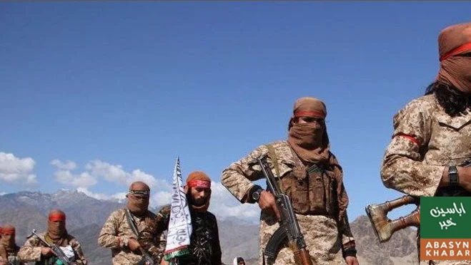 سابق اقوام متحدہ عہدیدار کا افغانستان میں شدت پسند گروہوں کی موجودگی پر اظہار تشویش