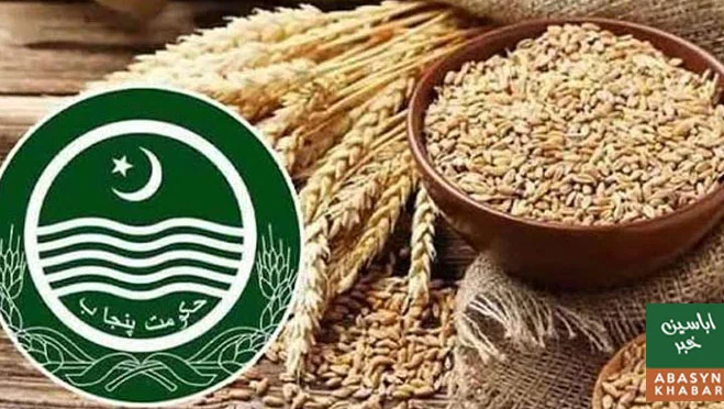 پنجاب میں گندم کی نئی ریلیز قیمت مقرر، فی 40 کلو نرخ 3800 روپے