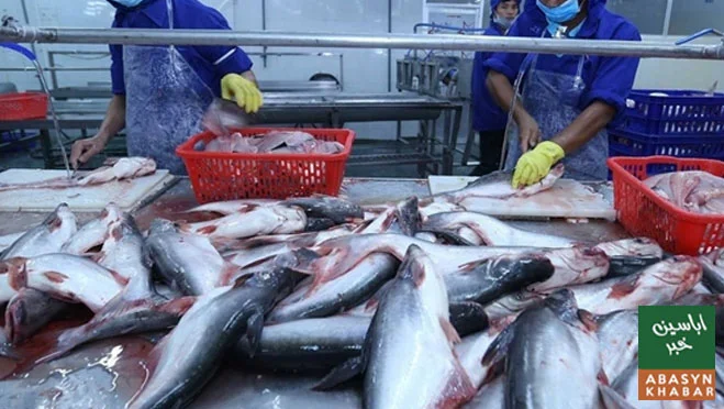 پاکستانی سی فوڈ برآمدات میں 2 سال کے دوران 38 فیصد اضافہ