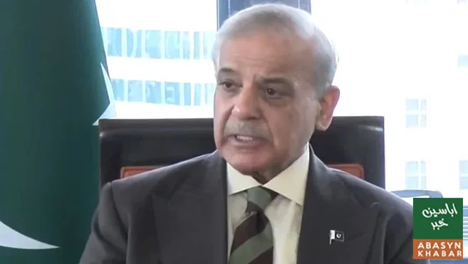 خطے میں امن کیلئے پاکستان بھرپور کردار ادا کررہا ہے:شہباز شریف