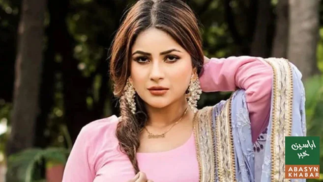 لوگ مجھے ٹرول کرکے اپنے ویوز بڑھاتے ہیں،شہناز گل