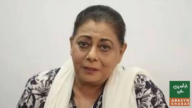 پاکستان خواتین کے لیے محفوظ ماحول فراہم نہیں کر رہا، سیمی راحیل کا اظہارِ تشویش