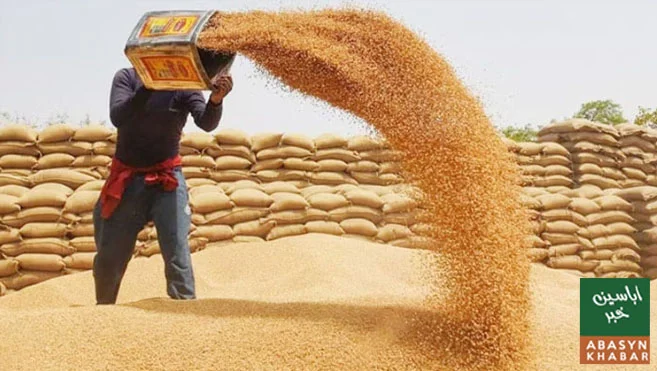 بلوچستان میں گندم کا بحران شدت اختیار کرگیا، آٹا بھی مہنگا