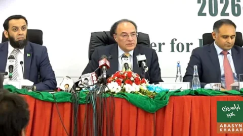 بجٹ میں تنخواہ دار طبقے اور برآمدات کے لیے ریلیف، معاشی استحکام سے ترقی کی جانب سفر: وزیر خزانہ