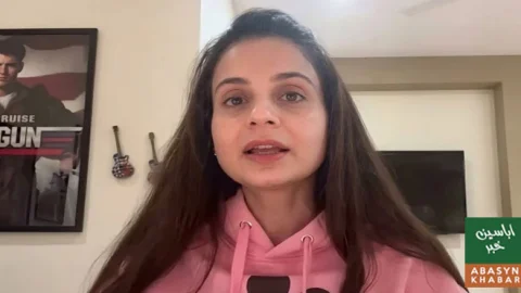 امیشا پٹیل کا متنازع بیان، پاکستان سے محبت کے دعوے پر سوشل میڈیا پر تنقید