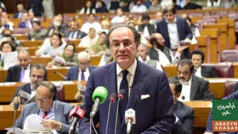 رواں سال ترسیلات زر کا ہدف حاصل کرنے کی توقع ہے:وزیر خزانہ محمد اورنگزیب