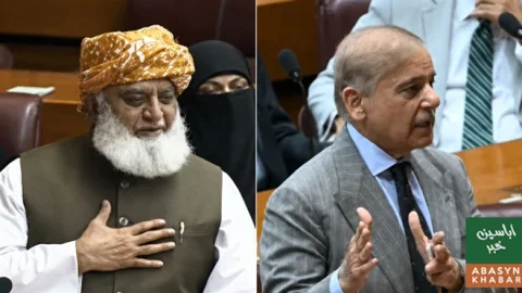 قومی اسمبلی میں شہباز شریف اور مولانا فضل الرحمٰن کے درمیان دلچسپ مکالمہ