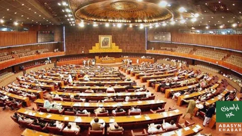 قومی اسمبلی نے 482 ارب روپے کی ضمنی گرانٹس منظور کر لیں