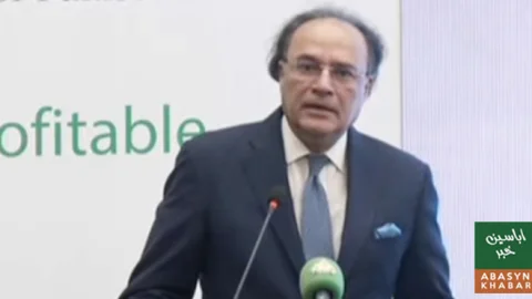 انویسٹ پاک پورٹل سرمایہ کاری کے نئے دور کا آغاز ہے، وزیر خزانہ