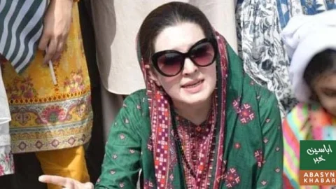 کشمیریوں کے بنیادی حقوق کے تحفظ کے لیے عالمی برادری کردار ادا کرے: مشعال ملک