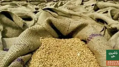 گندم بحران کا خدشہ، صوبوں نے وفاق سے لاکھوں ٹن گندم مانگ لی