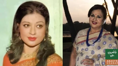 مجھے پاکستان سے بے پناہ محبت ملی:شبنم