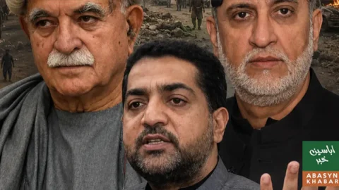 سیاسی اختلاف کو دہشت گردی سے نہیں جوڑنا چاہیے: ضیا لانگو