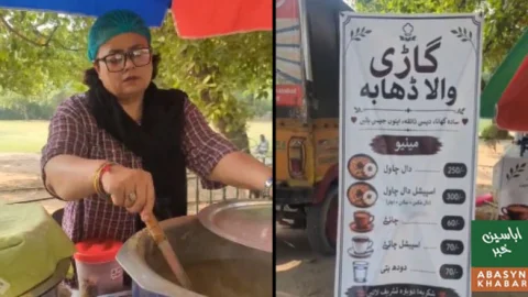 حبیب جالب کی بیٹی روزگار کیلئے ریڑھی لگانے نکلی، پہلے ہی روز کام بند کرا دیا گیا