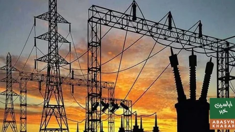 گیپکو کی نجکاری، 11 ملکی و غیر ملکی گروپس کی دلچسپی