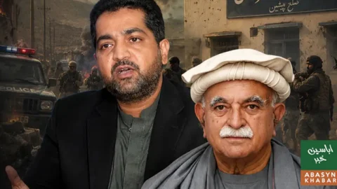 دہشت گردوں کا نام نہ لینا خوف ہے، ضیا اللہ لانگو