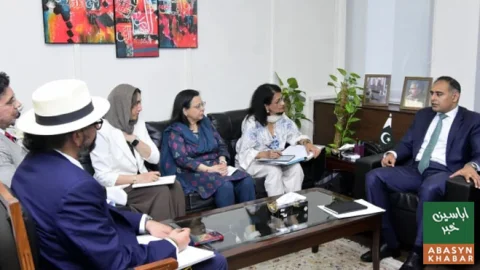 پاکستان میں ڈیجیٹل لین دین کرنے والوں کی تعداد 20 لاکھ سے تجاوز
