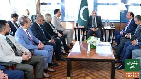 شہباز شریف سے امریکا میں مقیم کاروباری شخصیات اور ماہرین کی ملاقاتیں