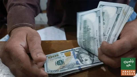 پاکستانی فری لانسرز نے ستمبر میں ریکارڈ 19 کروڑ 70 لاکھ ڈالر کمائے