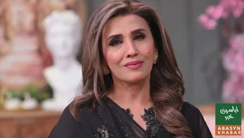 گلوکارہ حمیرا چنا کی گاڑی کراچی کے علاقے بہادر آباد سے چوری